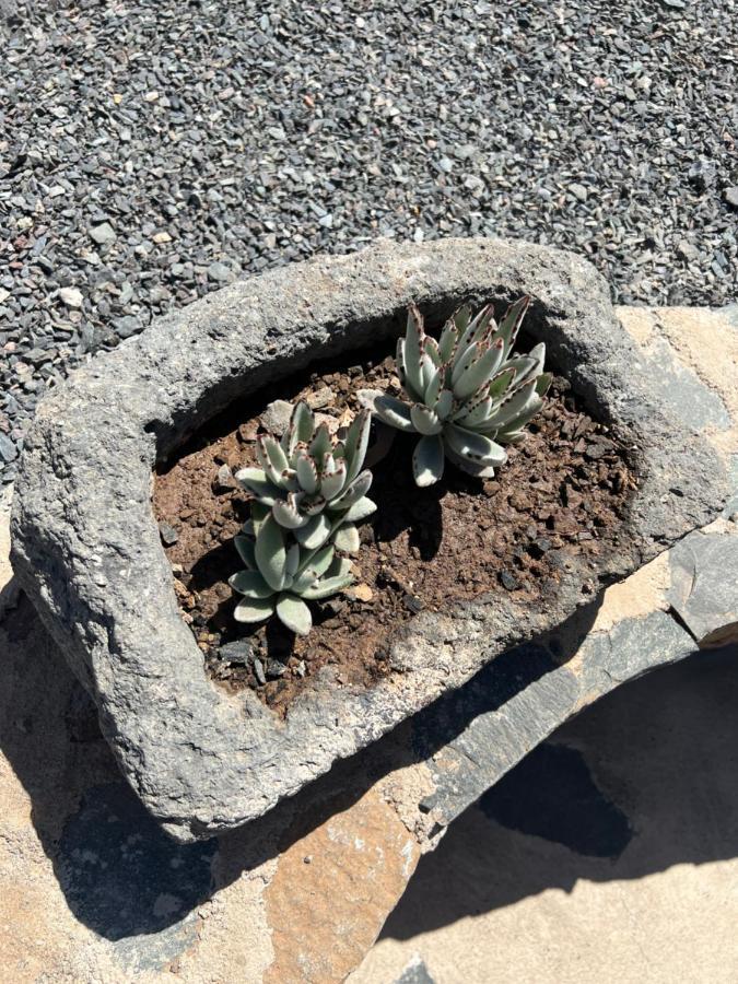 Casa Rural Con Bano Adaptado Y Piscina En Mogan Bagian luar foto