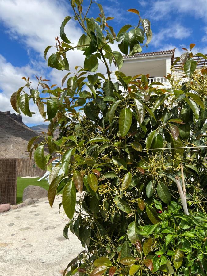 Casa Rural Con Bano Adaptado Y Piscina En Mogan Bagian luar foto